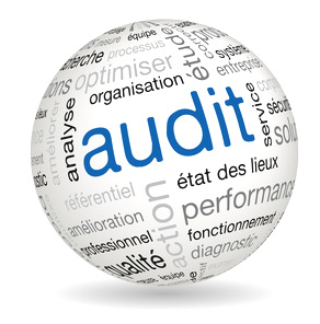Audit-NAYATHI